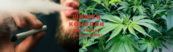 мдпв Верея