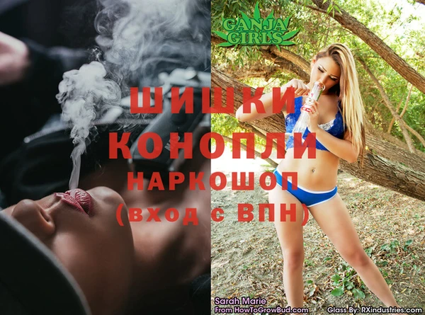 мдпв Верея