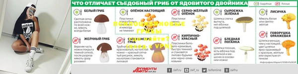 амф Богородицк