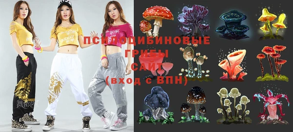 амф Богородицк