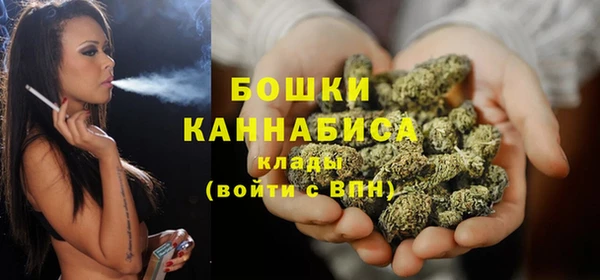 мдпв Верея